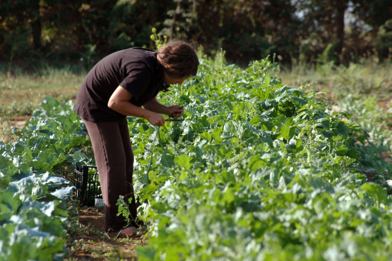 Agricoltura sociale