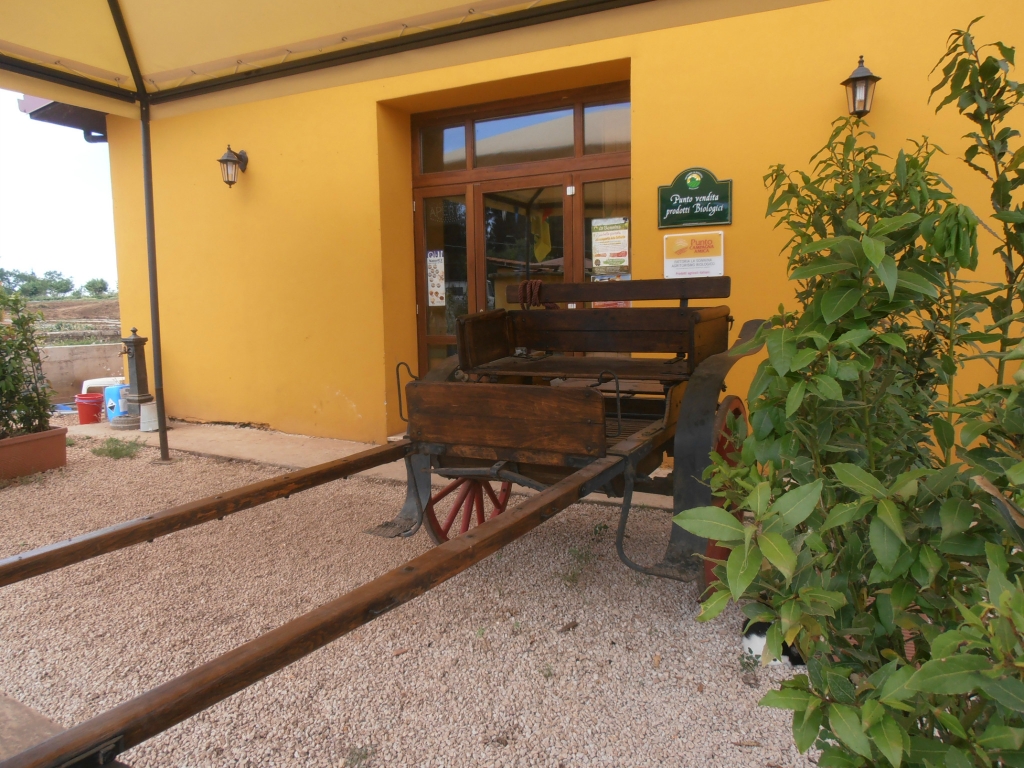 Punto vendita in Fattoria