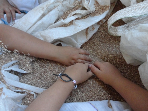 Fattoria educativa